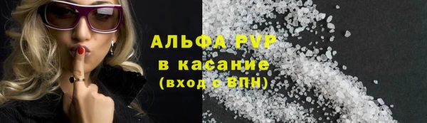 гидра Володарск