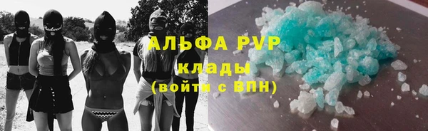 гидра Володарск