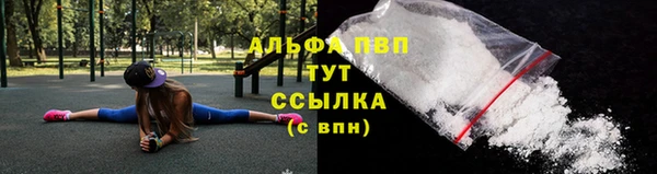 гидра Володарск