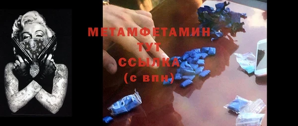 гидра Володарск