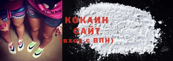 гидра Володарск