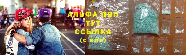 гидра Володарск